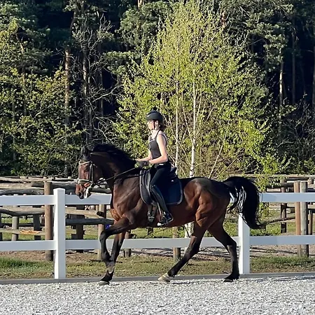 Harmony Park Kondrajec