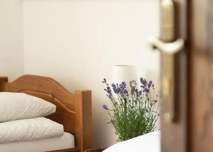 Harmony Park Casa de hóspedes