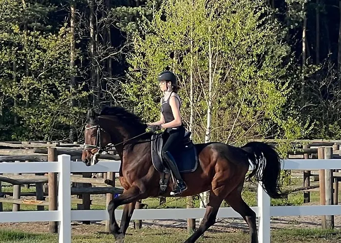 Harmony Park Kondrajec