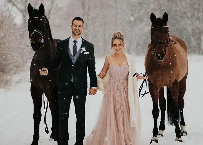 Casa de hóspedes Harmony Park 3*