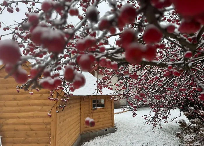 Casa de hóspedes Harmony Park 3*